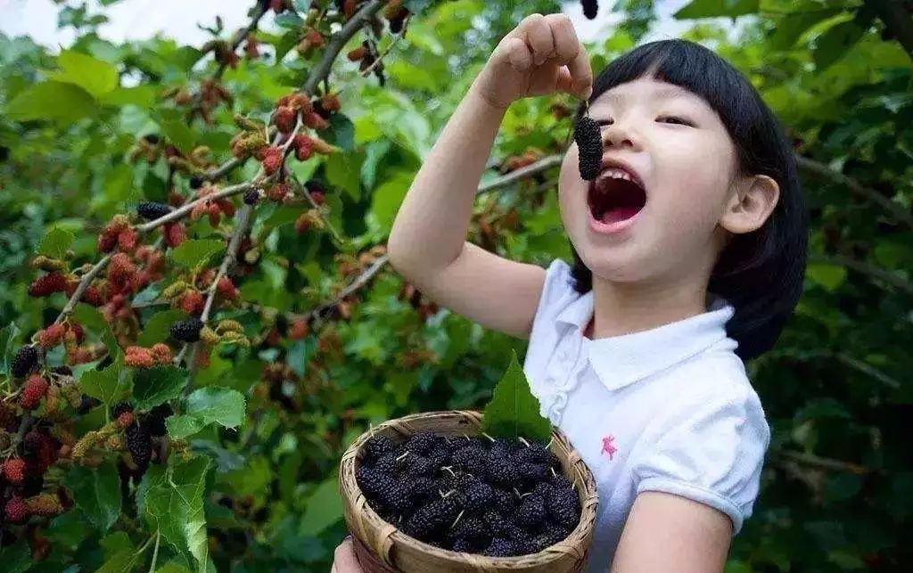 伟意国际(中国区)官方网站