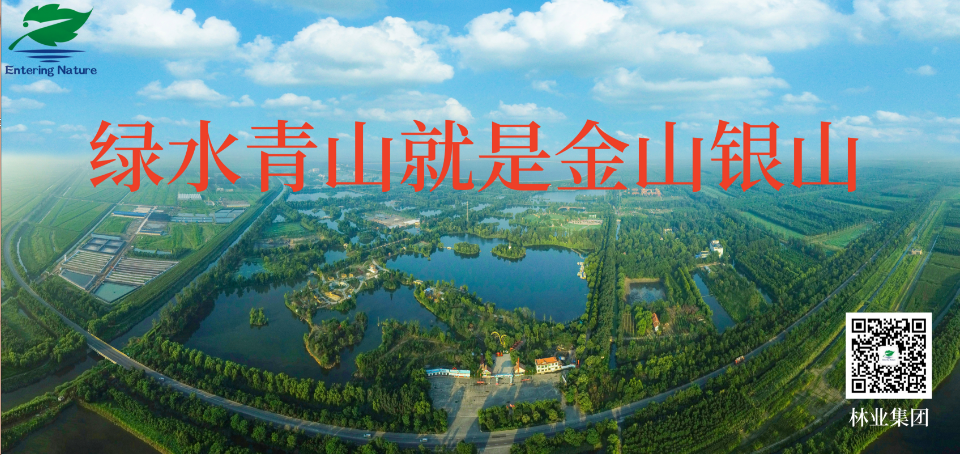 伟意国际(中国区)官方网站