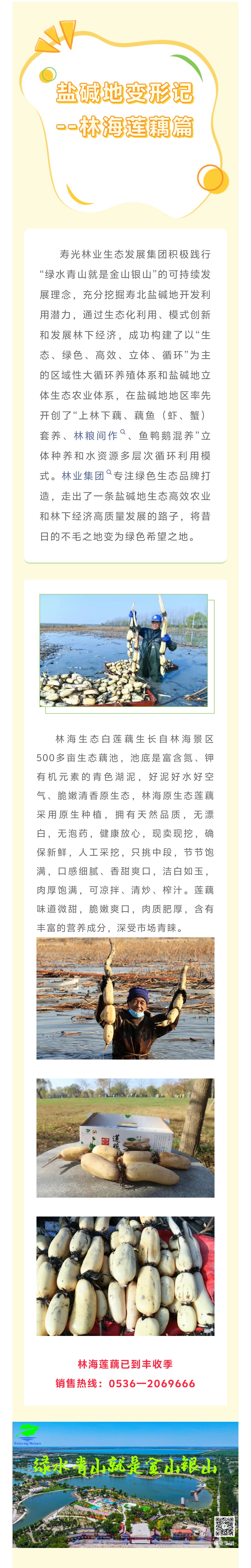 伟意国际(中国区)官方网站