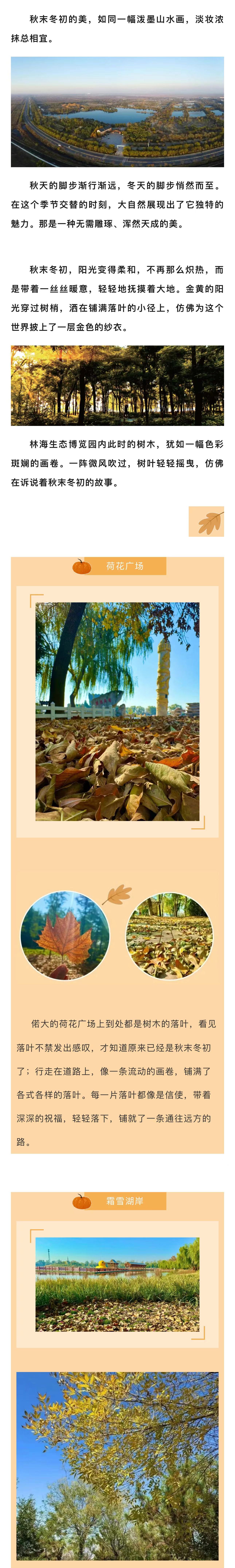 伟意国际(中国区)官方网站