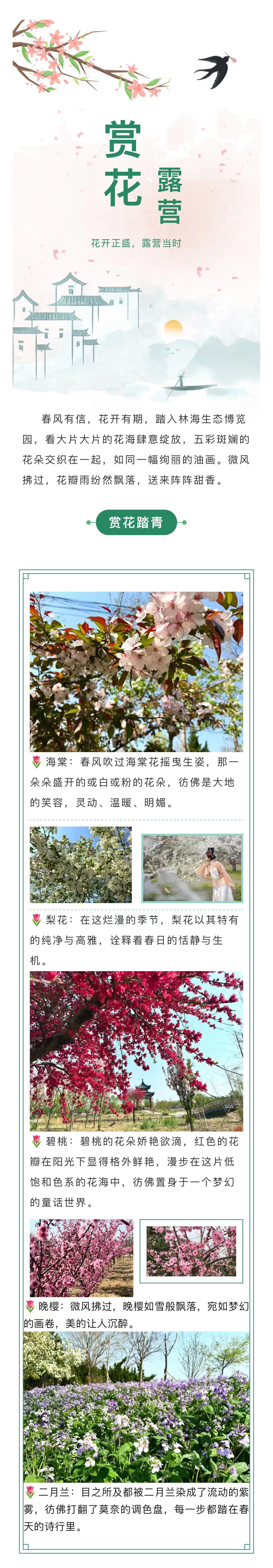 伟意国际(中国区)官方网站