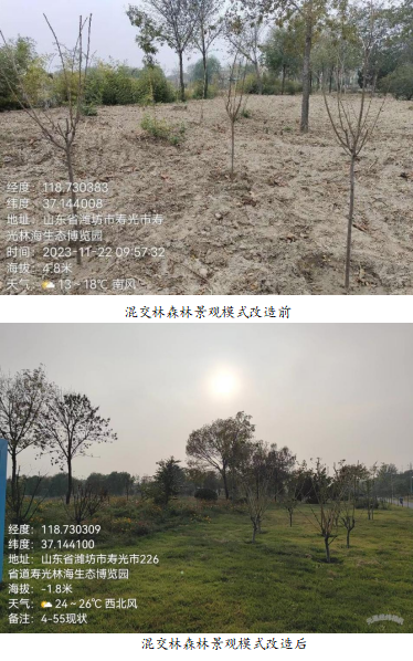 伟意国际(中国区)官方网站