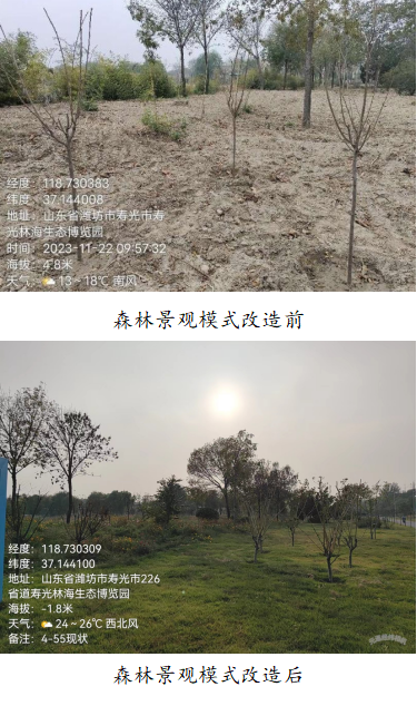 伟意国际(中国区)官方网站